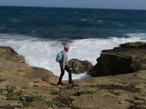 IMG_5454 (Medium)